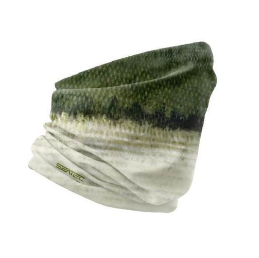 BASS | SHIELD